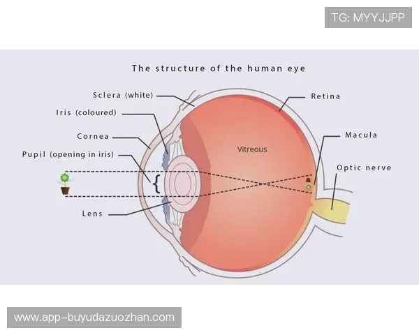 色彩科学管理强化 保证多设备显示效果一致